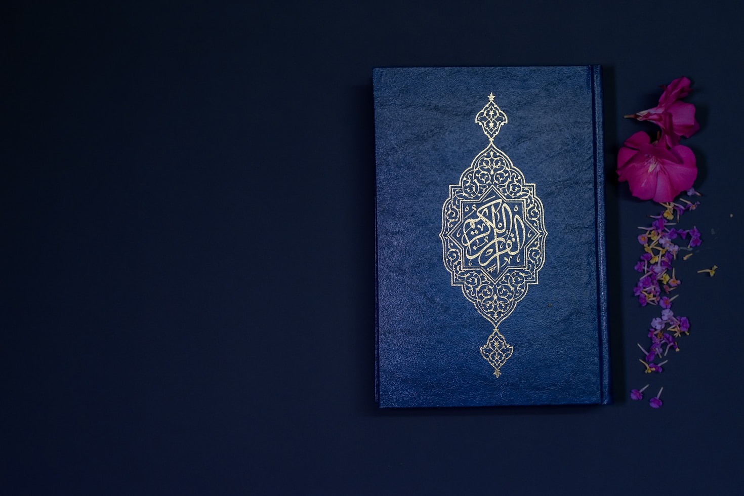 Top Resources for Quranic Education and Growth